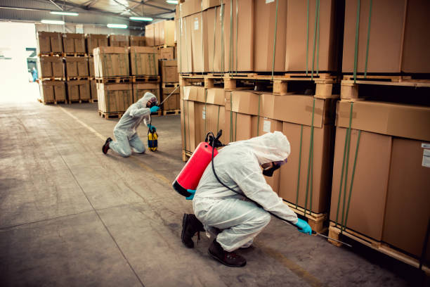 Best Exterminator Services  in Mounds View, MN