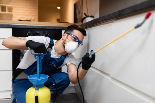 Best Mosquito Control Services  in Mounds View, MN