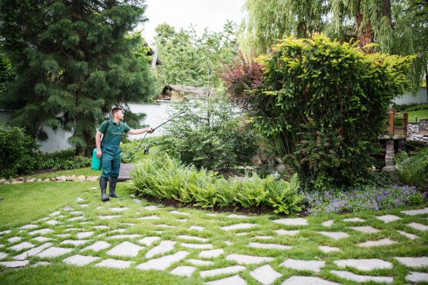 Best Local Pest Control Services  in Mounds View, MN