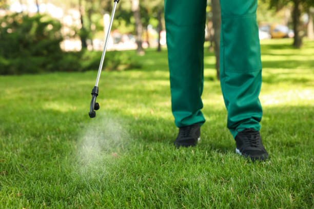 Trusted Mounds View, MN Pest Control Experts
