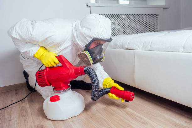 Best Bed Bug Extermination  in Mounds View, MN