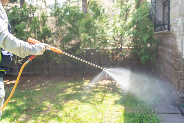Best Spider Control Near Me  in Mounds View, MN