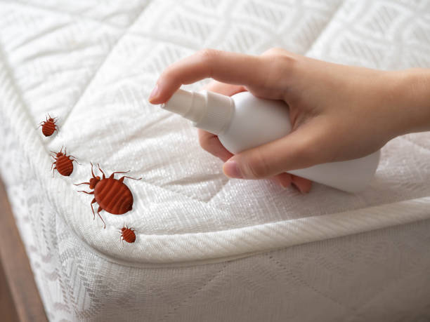 Best Cockroach Control Services  in Mounds View, MN